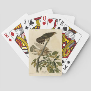 Jeu De Cartes Pigeon Hawk (Merlin) - Audubon's Birds of America