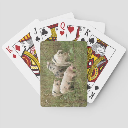 Jeu De Cartes Pigs in a Field Playing Cards (dos)