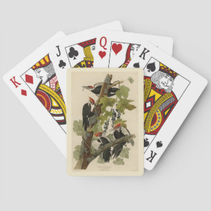 Jeu De Cartes Pileated Woodpecker from Audubon Birds of America