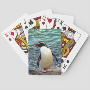 Jeu De Cartes pingouin