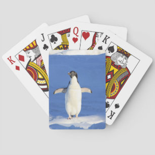 Jeu De Cartes Pingouin drôle sur la glace photo