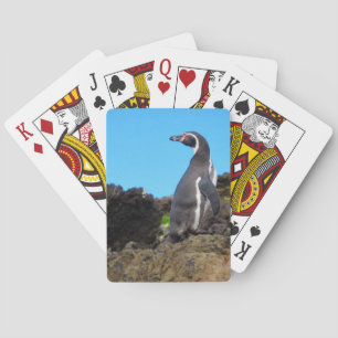 Jeu De Cartes pingouin magellanique
