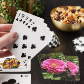 Jeu De Cartes Pink Zinnia (In Situ)