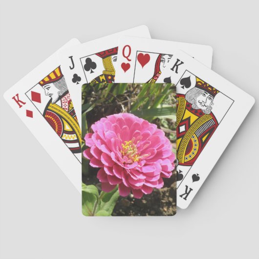 Jeu De Cartes Pink Zinnia (dos)