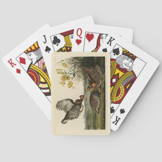 Jeu De Cartes Pinnated Grouse (dos)