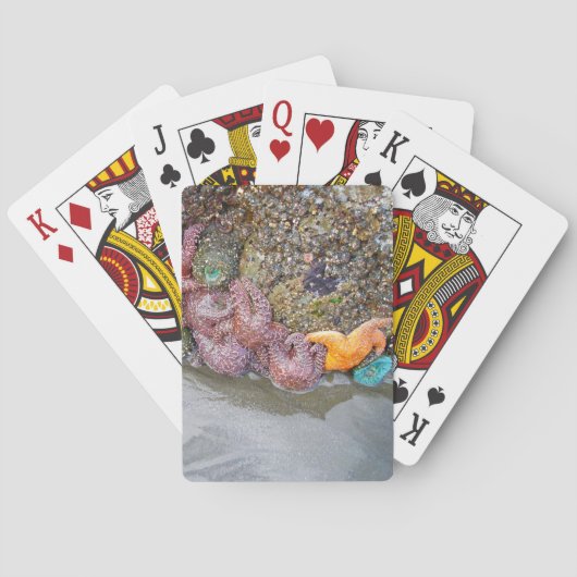 Jeu De Cartes Piscine à marée, plage de Ruby, parc national olym (dos)