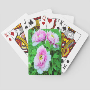 Jeu De Cartes Pivoines arbustives roses élégantes avec centre ja