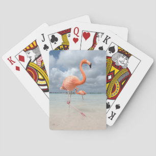 Jeu De Cartes Plage Aruba de Flamants roses