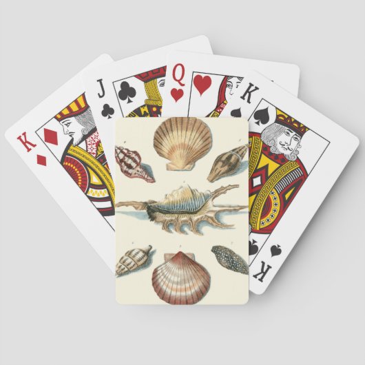 Jeu De Cartes Plage de Shell soignée (dos)