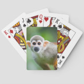 Jeu De Cartes Plan rapproché d'un singe-écureuil commun (dos)