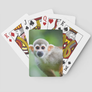 Jeu De Cartes Plan rapproché d'un singe-écureuil commun