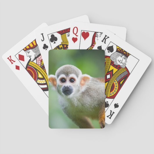 Jeu De Cartes Plan rapproché d'un singe-écureuil commun (dos)