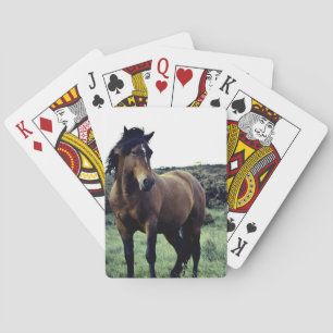 Jeu De Cartes Planche de cartes Wild Mustang