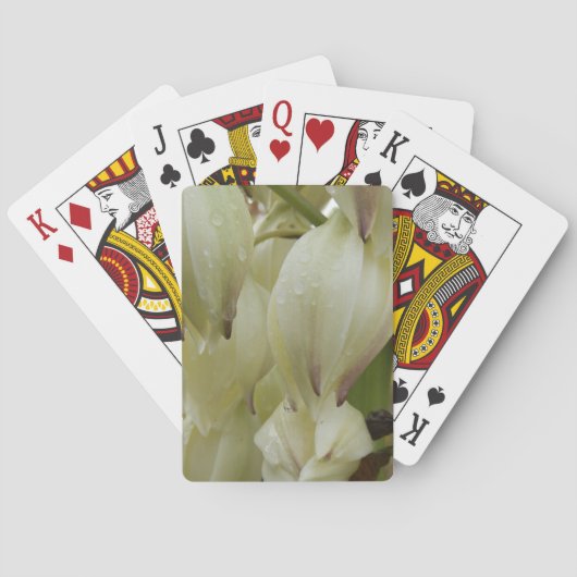 Jeu De Cartes Plante du Yucca (dos)