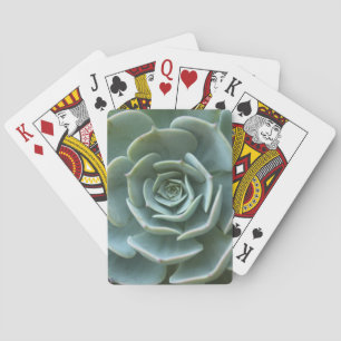 Jeu De Cartes Plante succulent