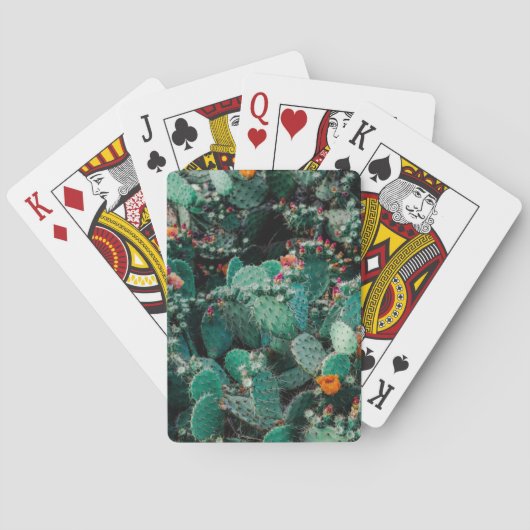 Jeu De Cartes Plantes de cactus (dos)