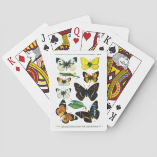 Jeu De Cartes Plaque papillon européenne II