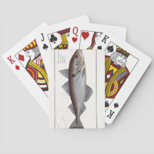 Jeu De Cartes Plat LXII d'aiglefins (Gadus Aeglefinus) de