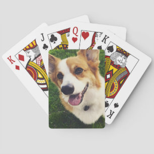 Jeu De Cartes Plate-forme de corgi des cartes de jeu