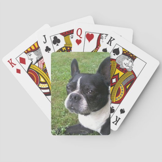 Jeu De Cartes plate-forme des cartes de jeu, avec le terrier de (dos)