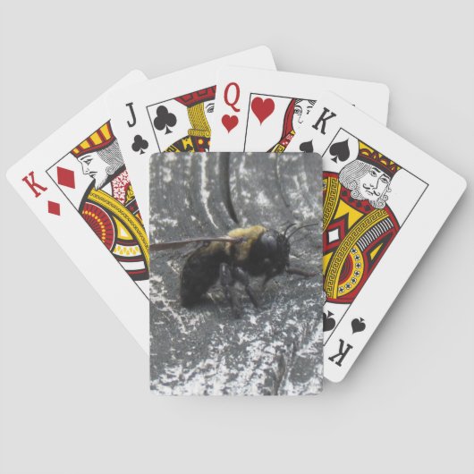 Jeu De Cartes Pludrops (dos)