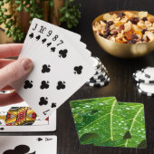 Jeu De Cartes Pluies sur la feuille de Papaya Vert (In Situ)