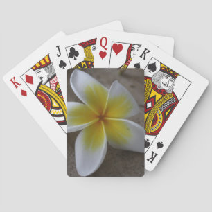 Jeu De Cartes Plumeria - Photographie florale de frangipanier