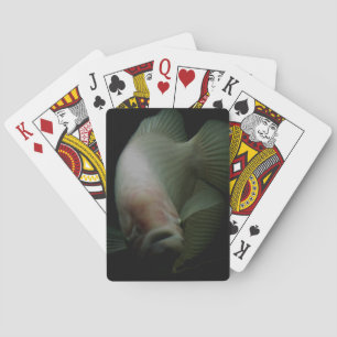 Jeu De Cartes Poisson dans le portrait de réservoir