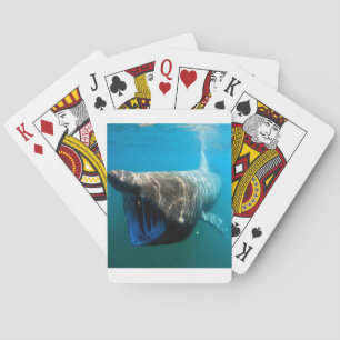 Jeu De Cartes Poisson de requin Océan tropical Destin Cadeaux