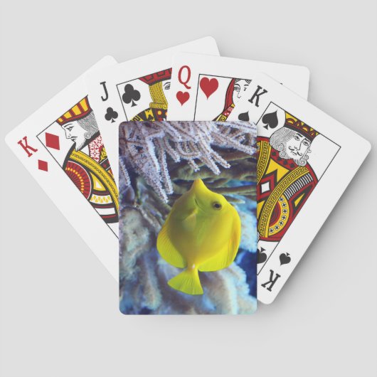 Jeu De Cartes Poisson de Tang Jaune (dos)