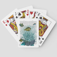 Poissons, coquillages bleus et coraux