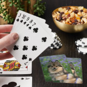 Jeu De Cartes Pomeranian dans l'herbe (In Situ)