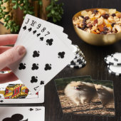 Jeu De Cartes Pomeranian trottant dans le feuille tombé (In Situ)