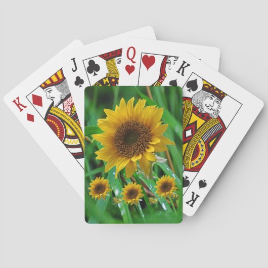 Jeu De Cartes Pont de cartes de tournesol (dos)