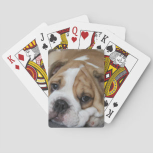Jeu De Cartes Pont de cartes pour chien de garde