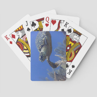 Jeu De Cartes Pont de Poker à vélo Tortue