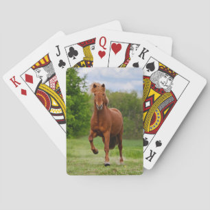 Jeu De Cartes Pony islandais à Tölt Funny Photo Les amateurs de 