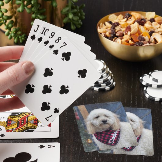 Jeu De Cartes Poodle (In Situ)