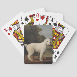 Jeu De Cartes Poodle blanc dans un Punt (par George Stubbs)