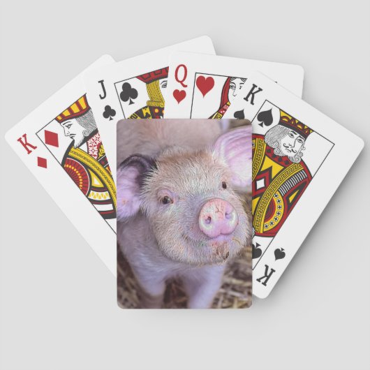 Jeu De Cartes Porc (dos)