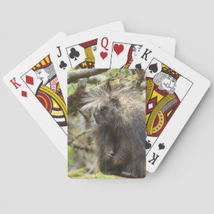 Jeu De Cartes Porcupine déterminé