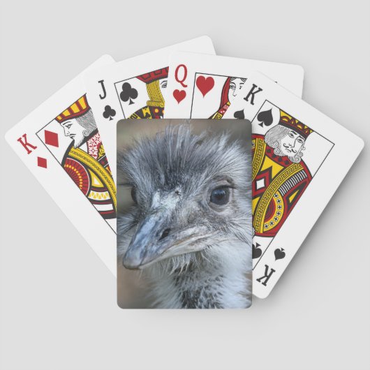Jeu De Cartes Portrait américain de nandou (dos)