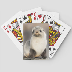 Jeu De Cartes Portrait de bébé phoque sur la plage