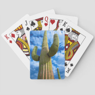Jeu De Cartes Portrait de cactus saguaro, Arizona