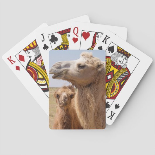 Jeu De Cartes Portrait de chameau de Bactriane (dos)