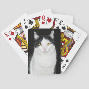 Jeu De Cartes Portrait de chat noir et blanc