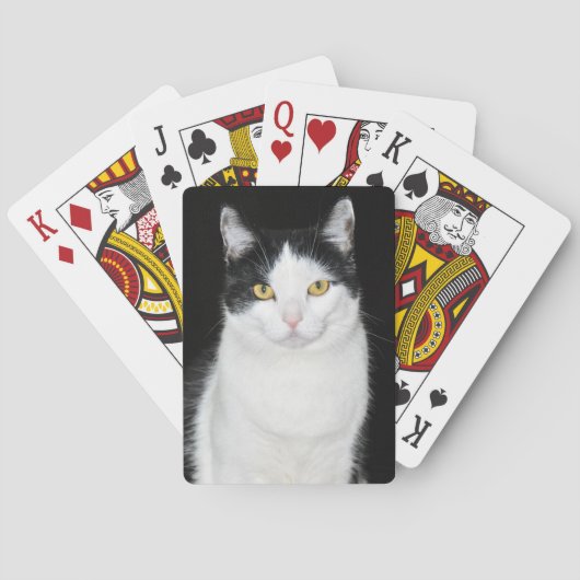 Jeu De Cartes Portrait de chat noir et blanc (dos)