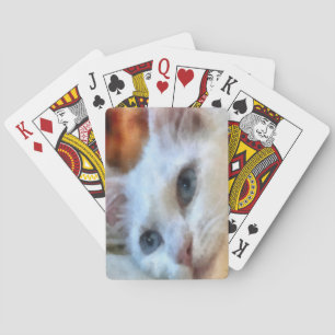 Jeu De Cartes Portrait de chat Van aux yeux bleus