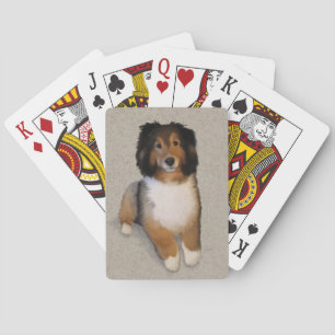 Jeu De Cartes Portrait de chien mélange Sheltie