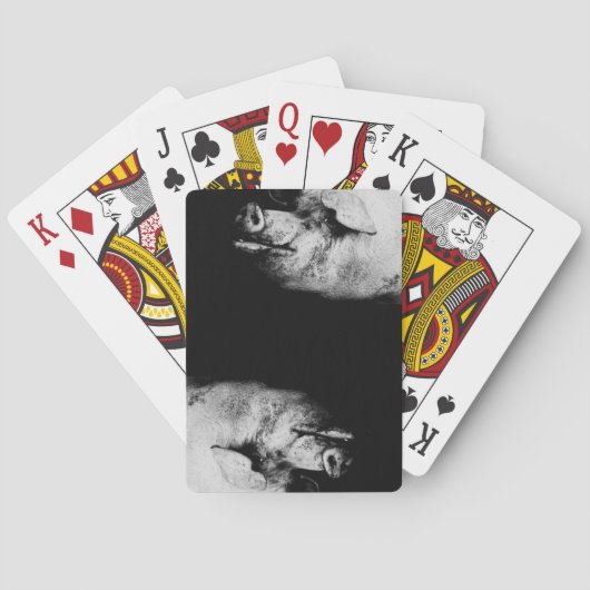 Jeu De Cartes portrait de cochon (dos)